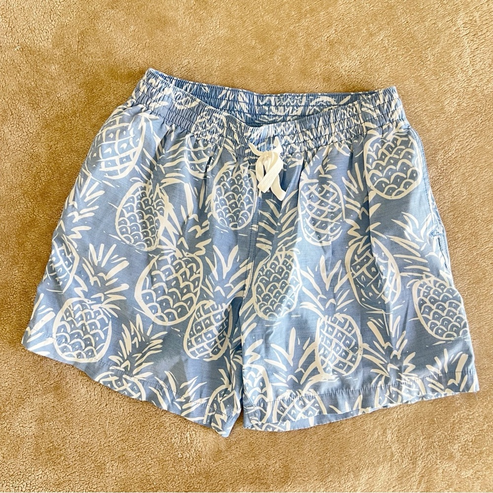 chubbies Light Blue Pineapple Print Shorts